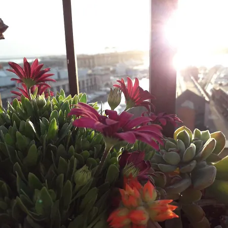 Bed and Breakfast La Superba & Breakfast 3*