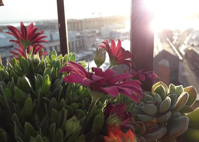 Panzió La Superba & Breakfast 3*